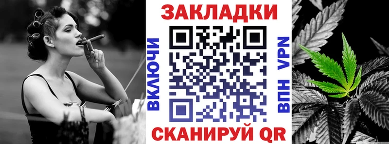 Где можно купить наркотики Новая Ладога Псилоцибиновые грибы  Канабис  АМФЕТАМИН 